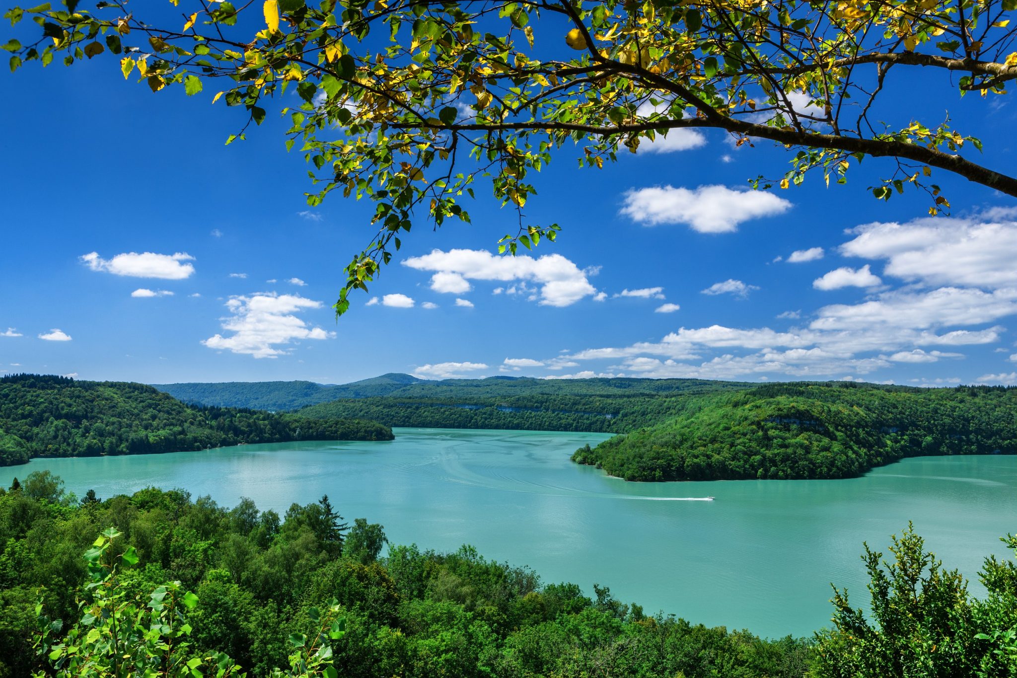 Les lacs du Jura entourés de forêt