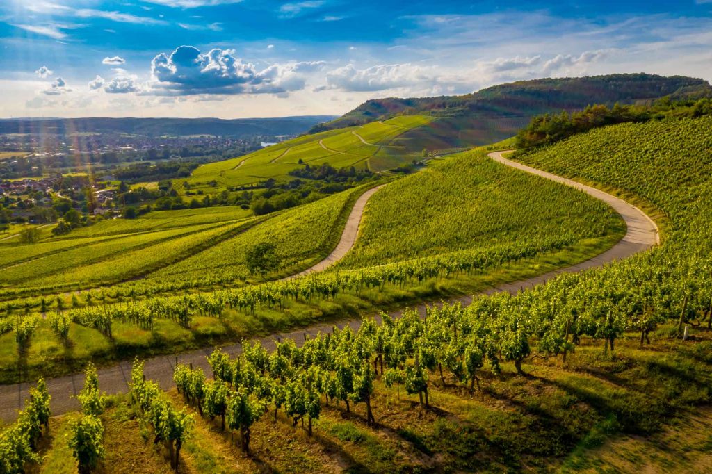 Route au milieu des vignobles de Bourgogne